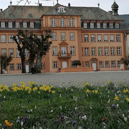 Ferienwohnung Am Schlosspark Bad Berleburg Exterior photo