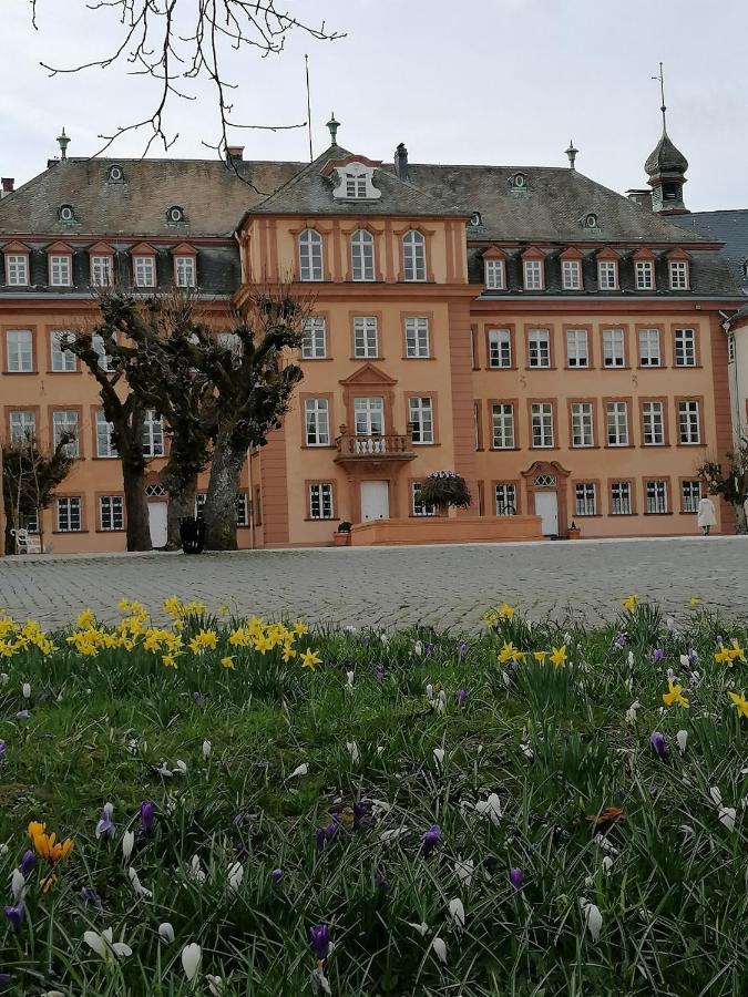 Apartment Am Schlosspark